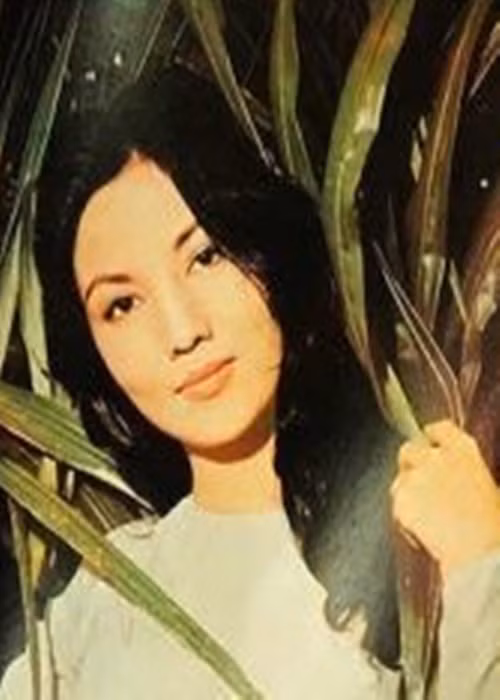 Nhan sắc kiều diễm một thời của nữ diễn viên sinh năm 1937. Ảnh: Một thế giới