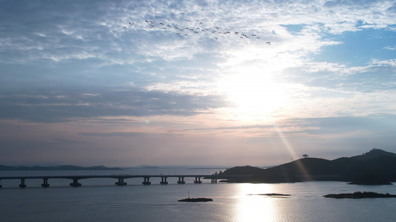 Thu tuong Chinh phu Pham Minh Chinh du le khanh thanh cao toc Van Don – Mong Cai-Hinh-6