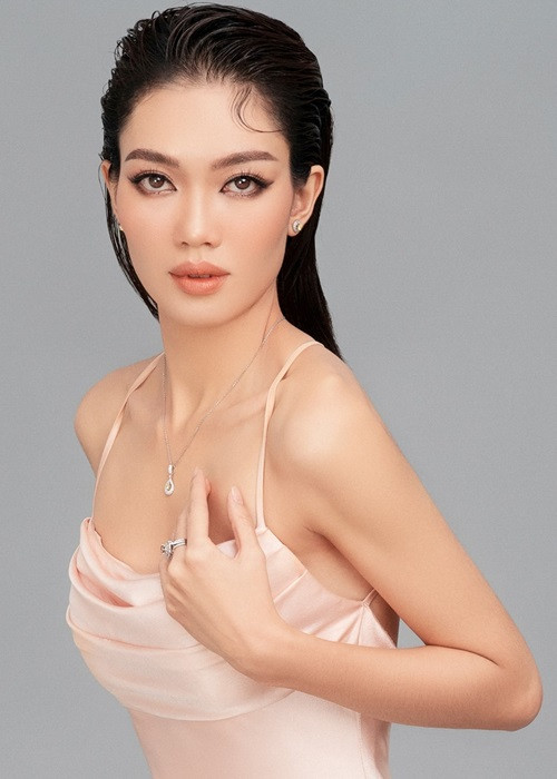 Người đẹp đến từ Long An từng tham gia một số cuộc thi nhan sắc trước Hoa khôi Sông Vàm. Ảnh: FBNV