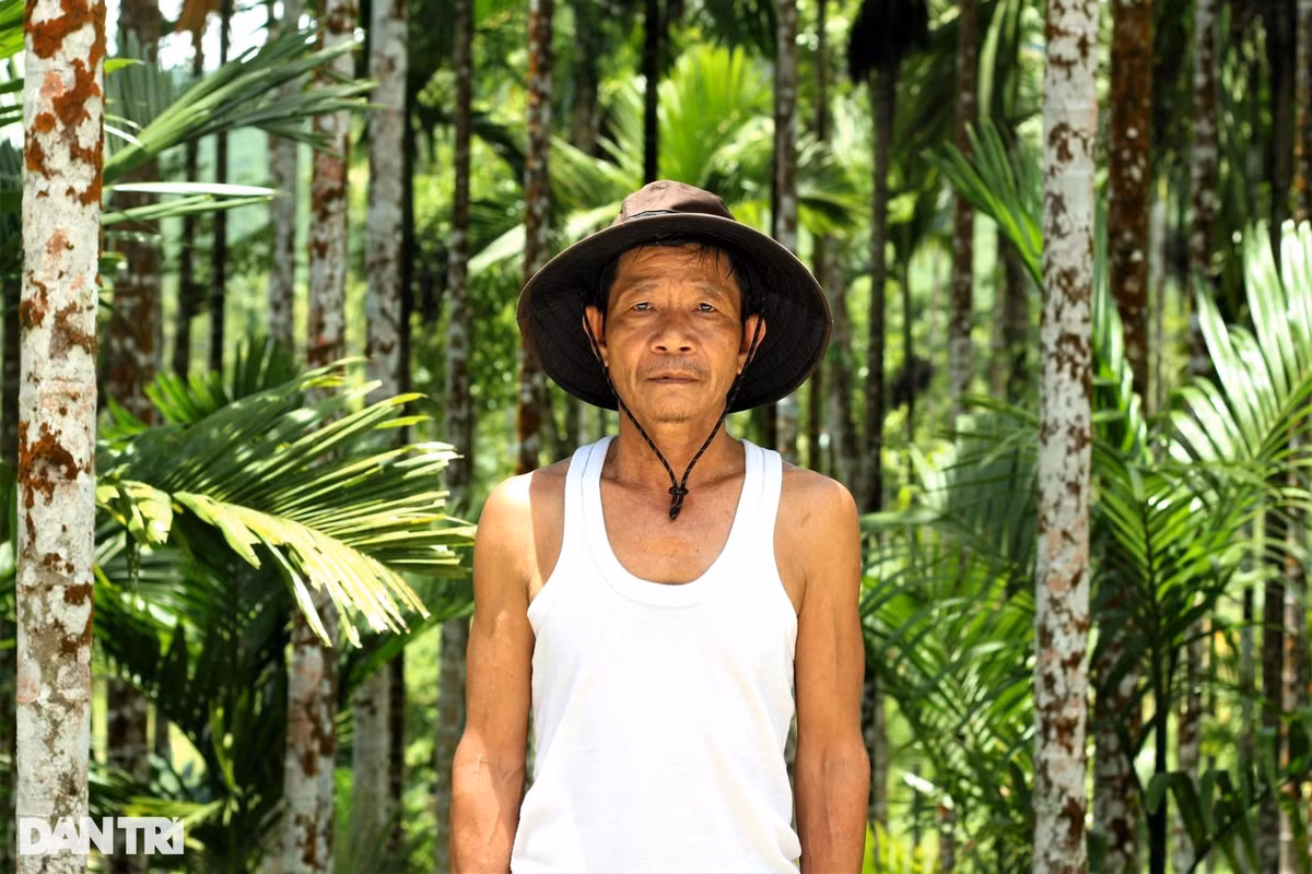 Trong cau kin doi, vuon dep tua phim truong, dan dem tien deu tay-Hinh-2