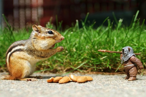 Hãy đầu hàng đi nào!