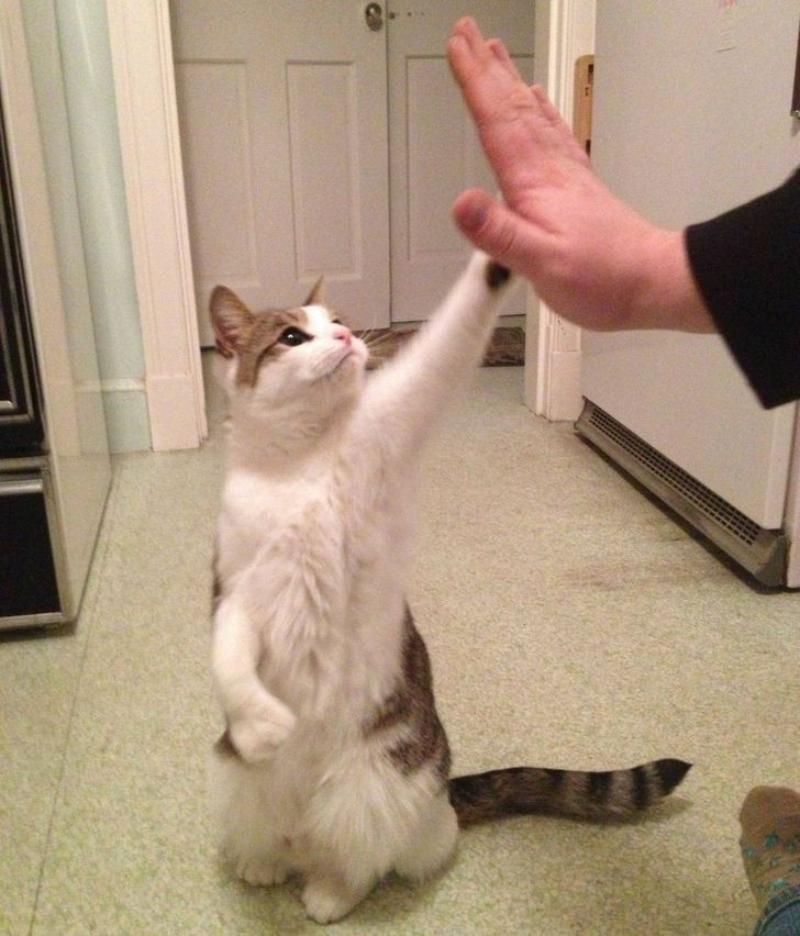 Đập tay cái lấy tinh thần nào!