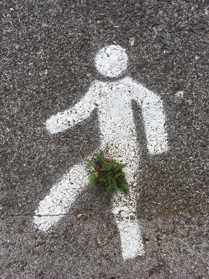 Các nhiếp ảnh gia không chuyên đã nắm bắt sự trùng hợp trong cuộc sống để chụp lại loạt bức ảnh trùng hợp ngẫu nhiên hài hước, thú vị có thể khiến bạn phá lên cười. "Tôi đang trên đường đi làm thì phát hiện hình ảnh này".