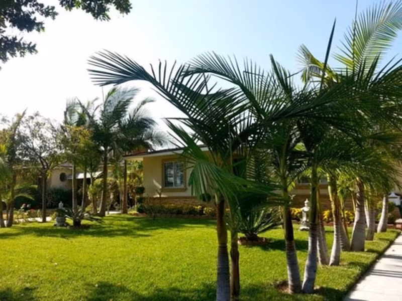 Ngoài biệt thự 1 triệu USD, Quang Lê còn có một căn nhà vườn ở Mỹ. Ảnh: FBNV