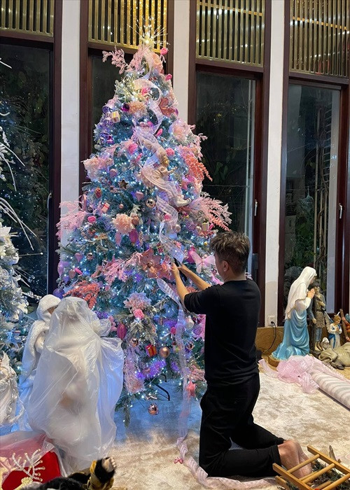 Đàm Vĩnh Hưng thường xuyên trang trí nhà cửa, sân vườn dịp Giáng sinh hay Trung thu. Ảnh: Lao động