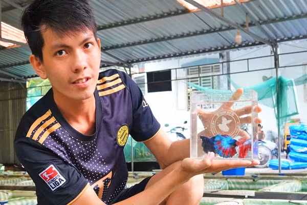 Sinh vien dung hoc khoi nghiep voi loai ca boi dep nhu vu cong