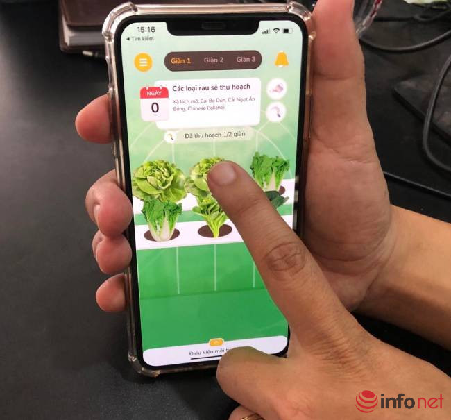 Chang ky su cong nghe khoi nghiep trong rau thong minh-Hinh-2