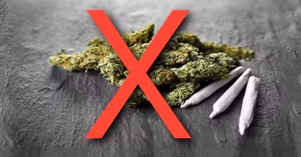 Loai co My khien nam sinh nhap vien nguy hiem sao?