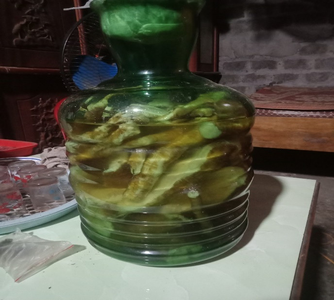 Ngo doc ruou ngam cu thuong luc: “Thu pham” Phytolaccatoxin nguy hiem sao?