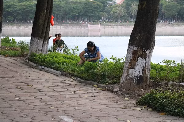 Mọi người tận dụng mọi chỗ đất trống để trồng rau.