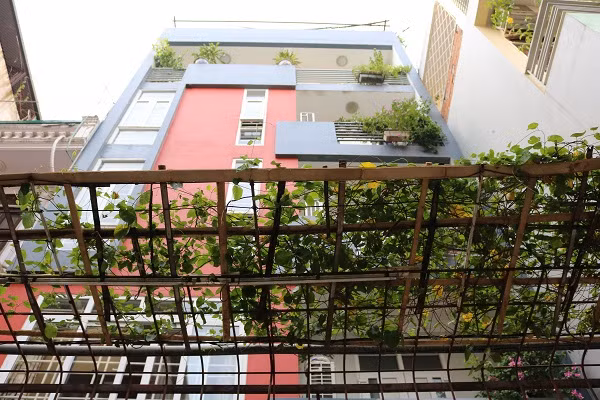 Tận dụng khoảng trống trước sân nhà, ông Mạnh bắc thêm giàn trồng cây thiên lý.