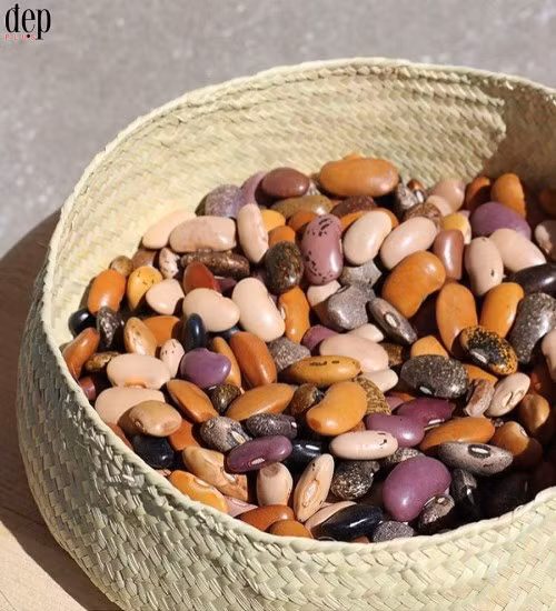 (Ảnh: @threadcaravan)