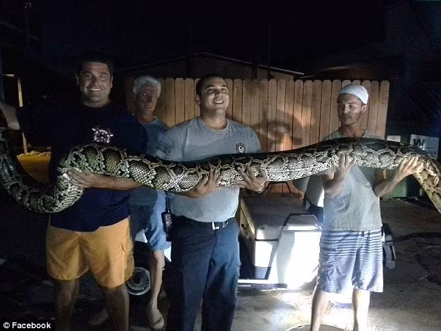 Các nhân viên chụp hình cùng con con trăn. Nguồn: DM.