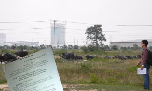 KCN Sóng Thần 3 và đơn tố cáo của ông Huỳnh Uy Dũng (ảnh nhỏ). Ảnh: N.H.