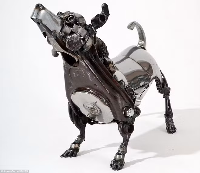 Một chú chó đáng yêu.