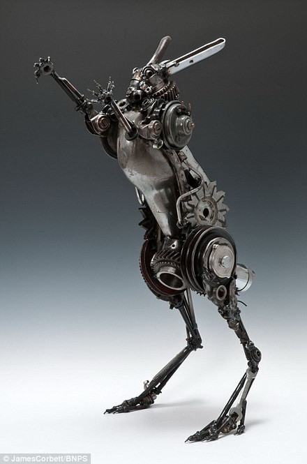 Một con thỏ rừng.