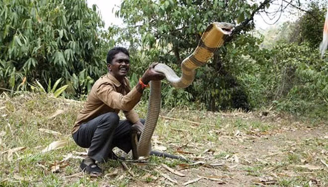 Người dân tại bang Kerala thường xuyên nhờ đến sự trợ giúp của anh khi họ gặp rắn ở trong khu dân cư, hay khi chúng lạc vào nhà của họ.