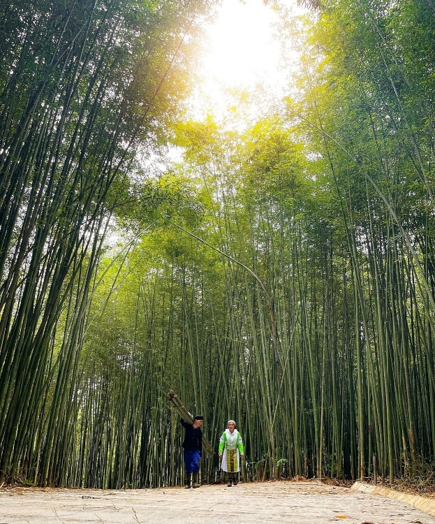 Càng đi sâu vào rừng, du khách sẽ cảm nhận được sự trong lành, mát mẻ của thiên nhiên miền non nước. Từng hàng, từng hàng trúc đan xen đu đưa theo gió, tiếng lá cây chạm vào nhau nghe xào xạc, tiếng chim rừng líu lo khiến tâm hồn con người trở nên nhẹ nhàng, thư thái hơn.