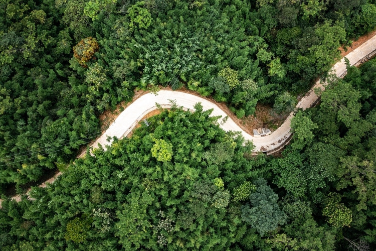 Me man voi ve dep rung truc sao Ban Phuong o Cao Bang