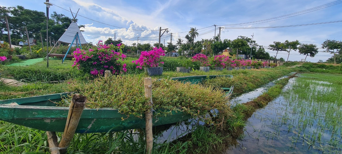 Những con thuyền chở đầy hoa dại ...