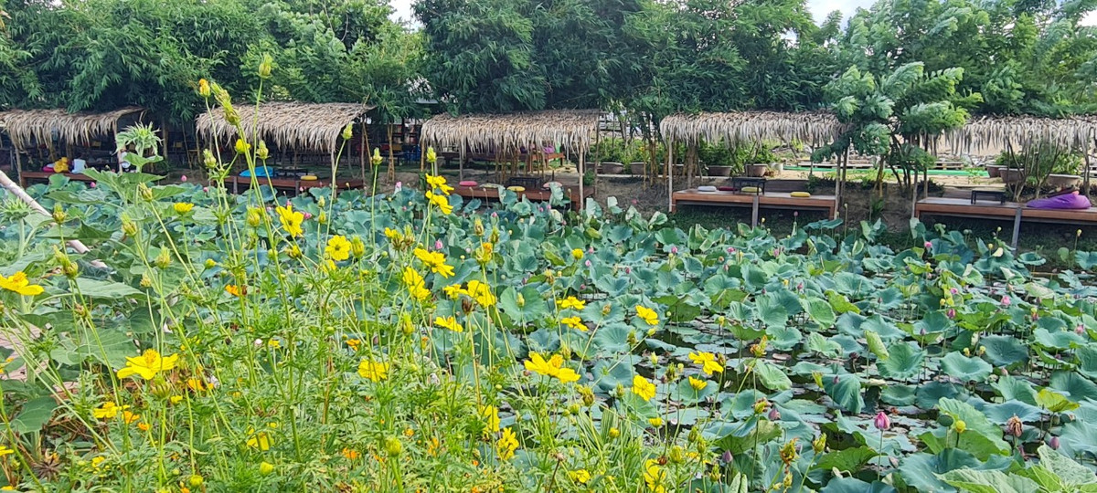 Điểm check-in mang thiết kế đơn giản, mộc mạc và gần gũi với thiên nhiên.