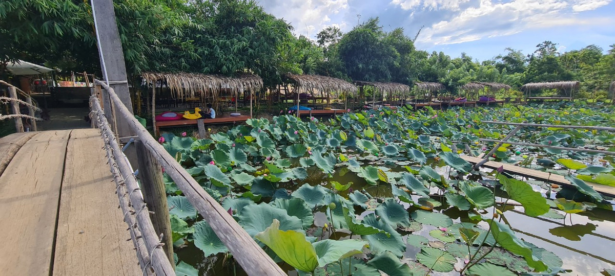 Và đứng ở góc nào du khách cũng sẽ có những tấm ảnh check-in cực chất.