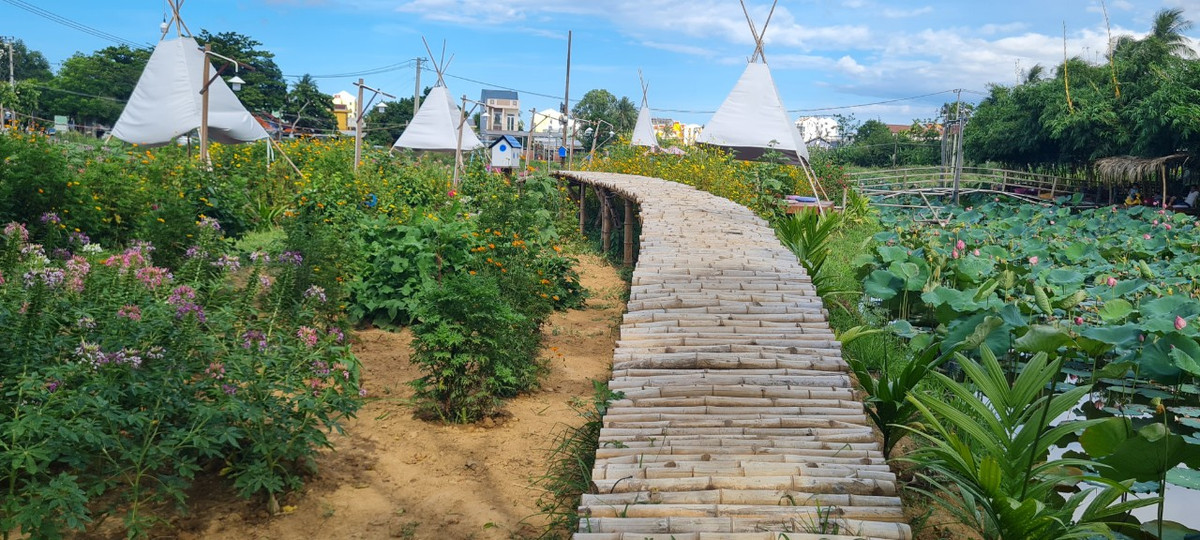 Một đầm sen xanh mướt như trong truyện cổ tích.