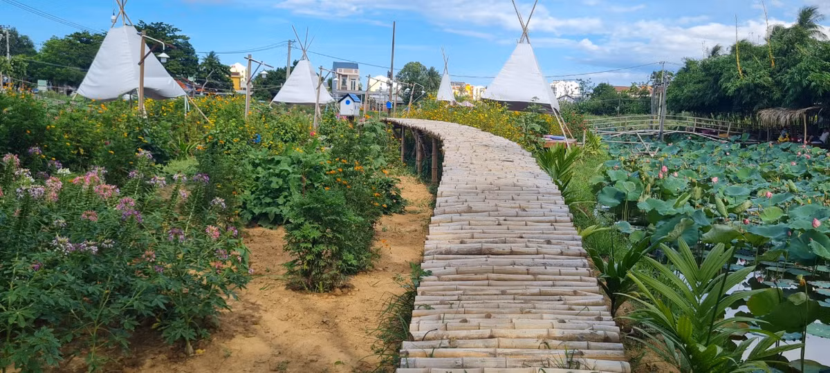 Một đầm sen xanh mướt như trong truyện cổ tích.