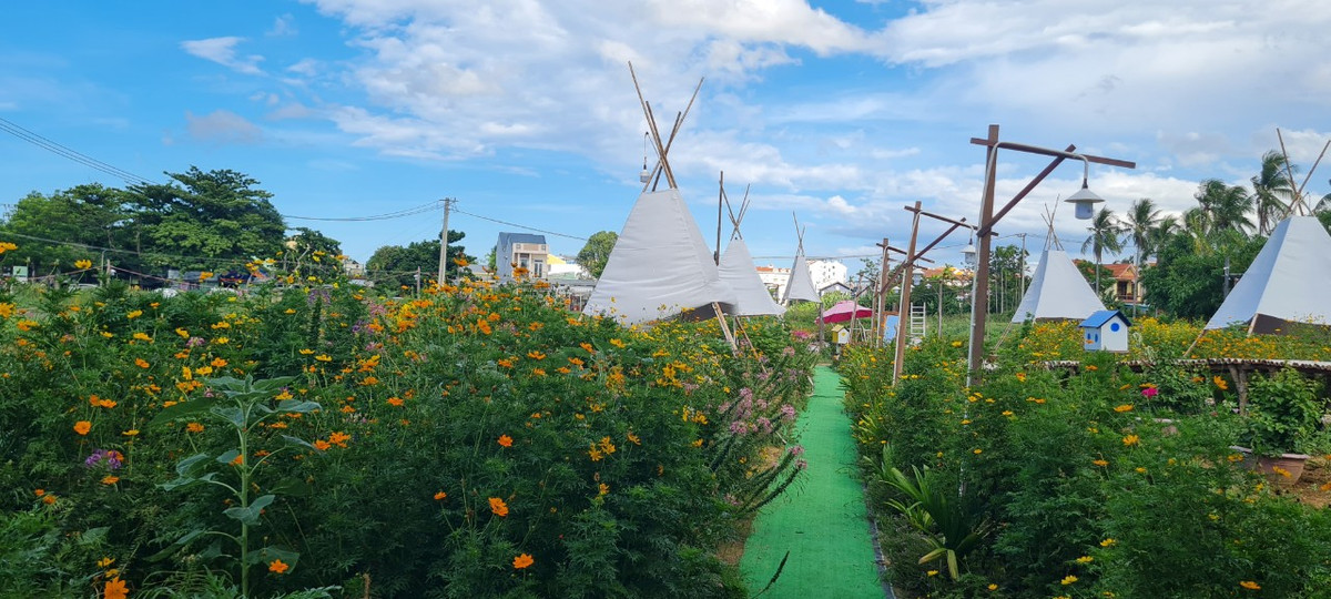 Xung quanh là những luống hoa đủ loại đang khoe sắc.