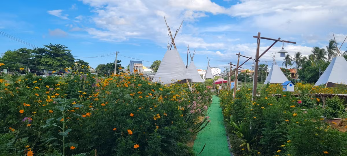 Xung quanh là những luống hoa đủ loại đang khoe sắc.