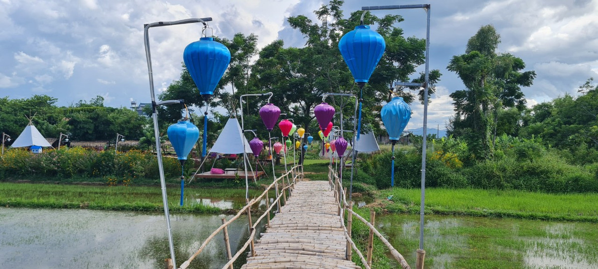 Con đường tre nhỏ dẫn lối du khách băng qua cánh đồng đợi mùa gieo hạt.