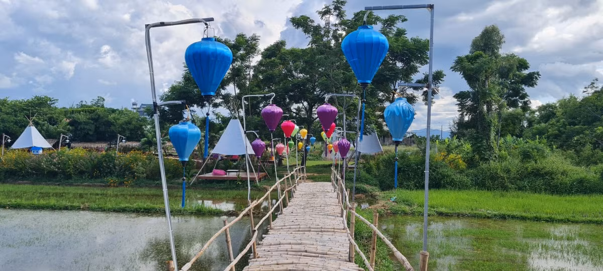 Con đường tre nhỏ dẫn lối du khách băng qua cánh đồng đợi mùa gieo hạt.