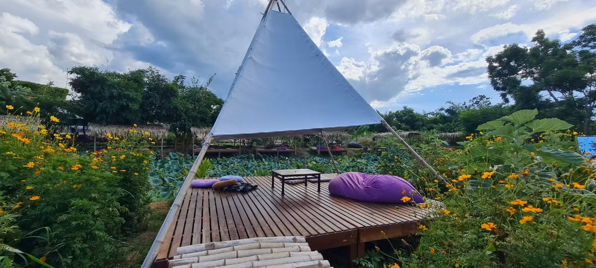 "Khách sạn ngàn sao" bao chill có lẽ chỉ thấy ở Hội An.