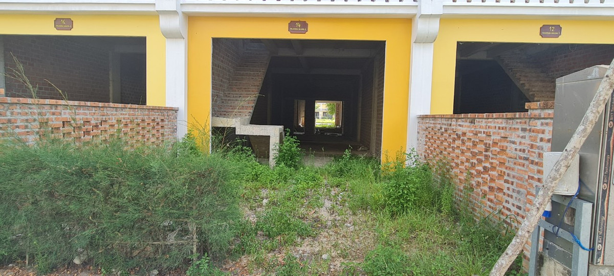 Cỏ dại ngập lối trước những căn nhà phố chỉ mới được xây thô.