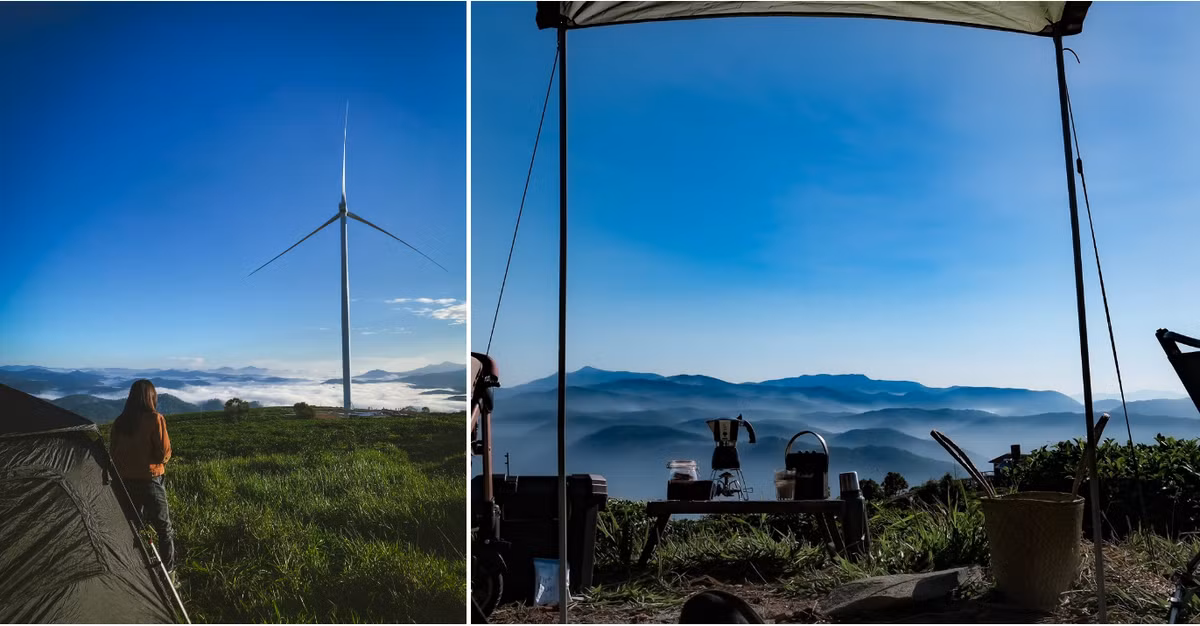 Cam trai vao mua mua o Da Lat can luu y nhung gi?-Hinh-4