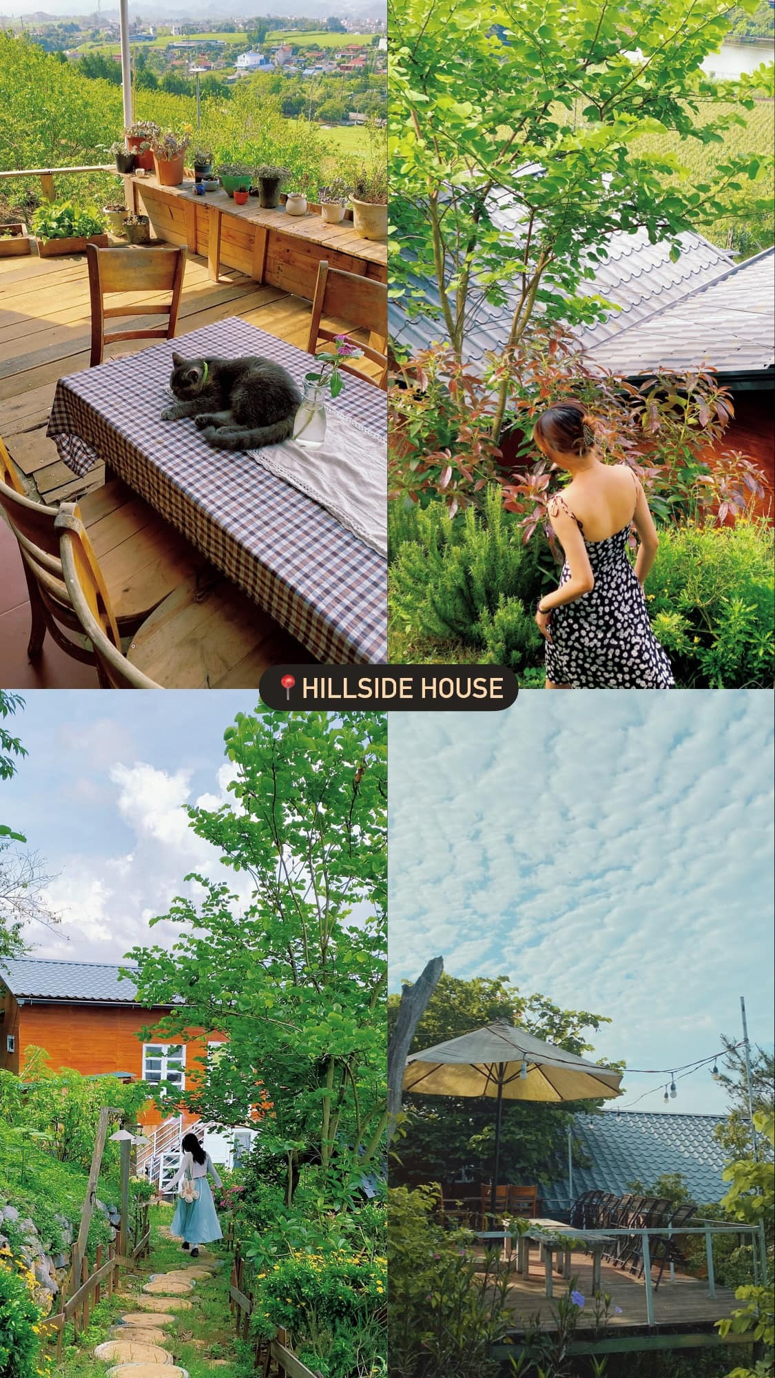 Den Moc Chau thoai mai song ao trong vuon man chin do-Hinh-9