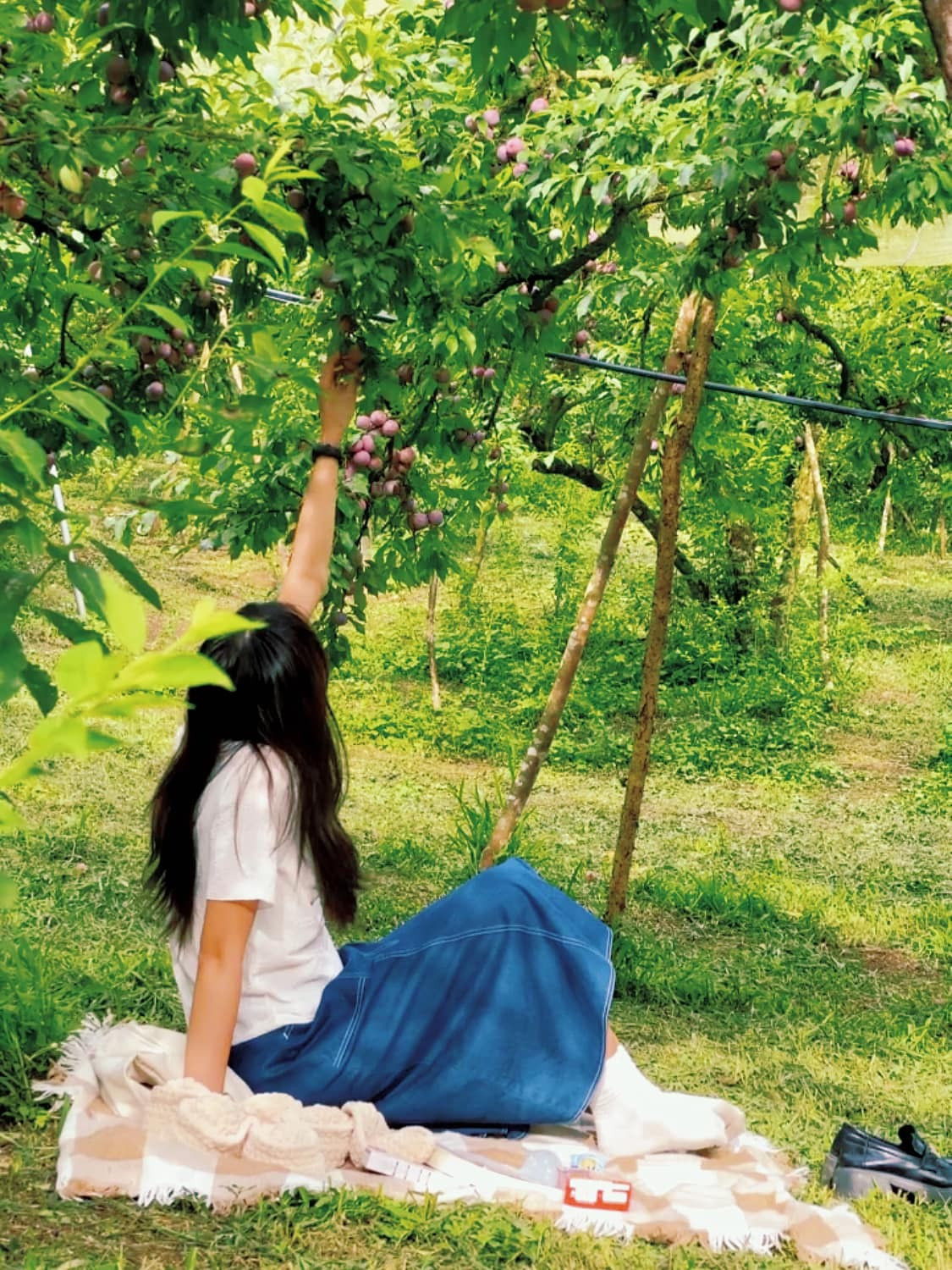 Den Moc Chau thoai mai song ao trong vuon man chin do