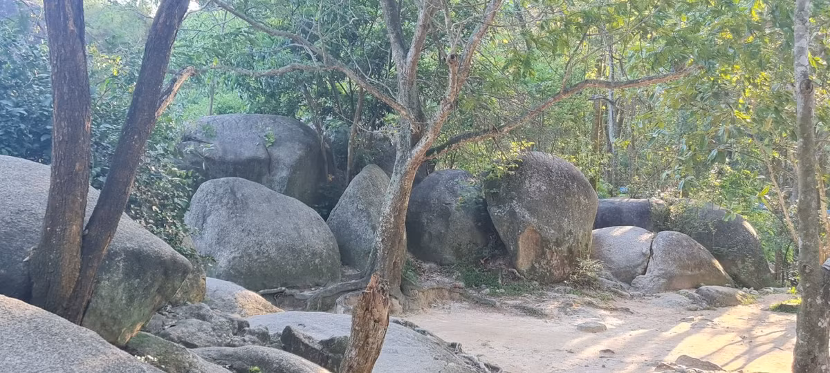 Ngay bên cạnh hòn Trống Mái, du khách còn thấy nhiều phiến đá nhỏ khác nhau với những hình thù độc đáo.