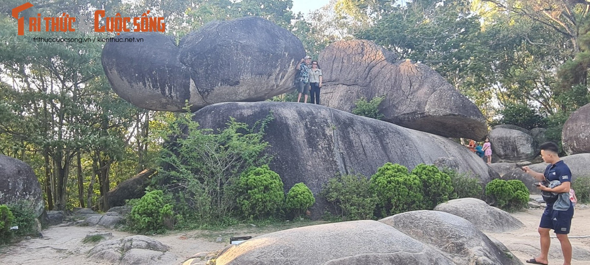 Ngoài Hạ Long thì tại đỉnh núi Trường Lệ (TP. Sầm Sơn, Thanh Hóa) cũng có hòn Trống Mái là tác phẩm của tạo hóa cũng rất nổi tiếng.