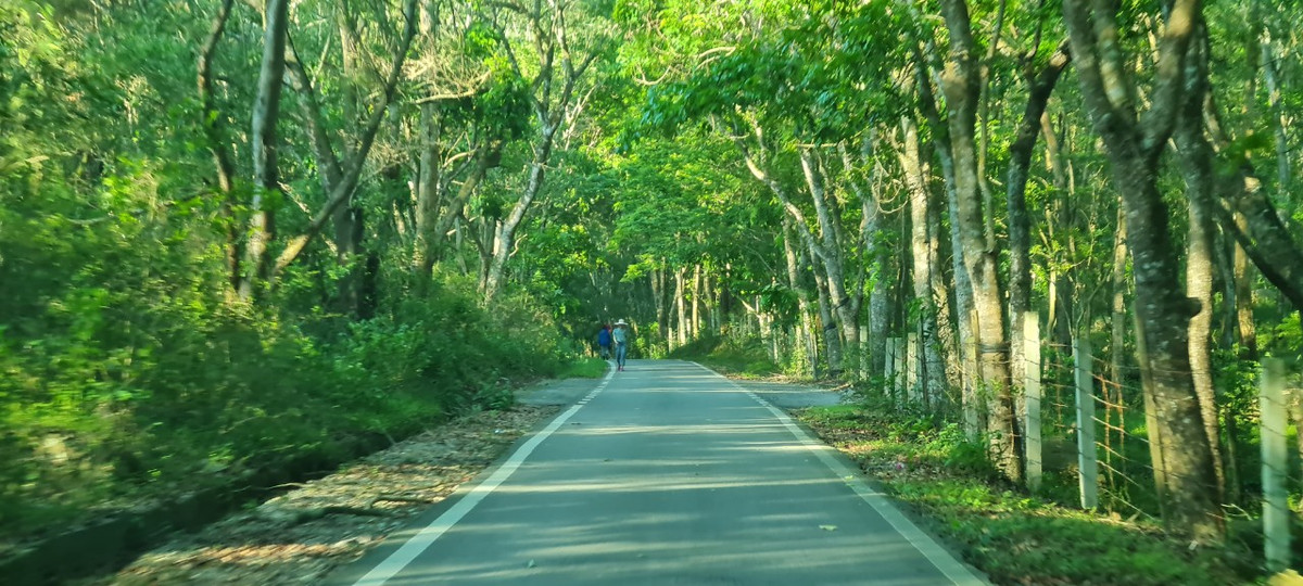 Về với Sầm Sơn, dạo bước lên núi Trường Lệ, giữa xanh trong, mát lành của cây rừng, ta lại mải mê trong tiếng thì thầm của huyền thoại di tích ngàn xưa vọng lại.