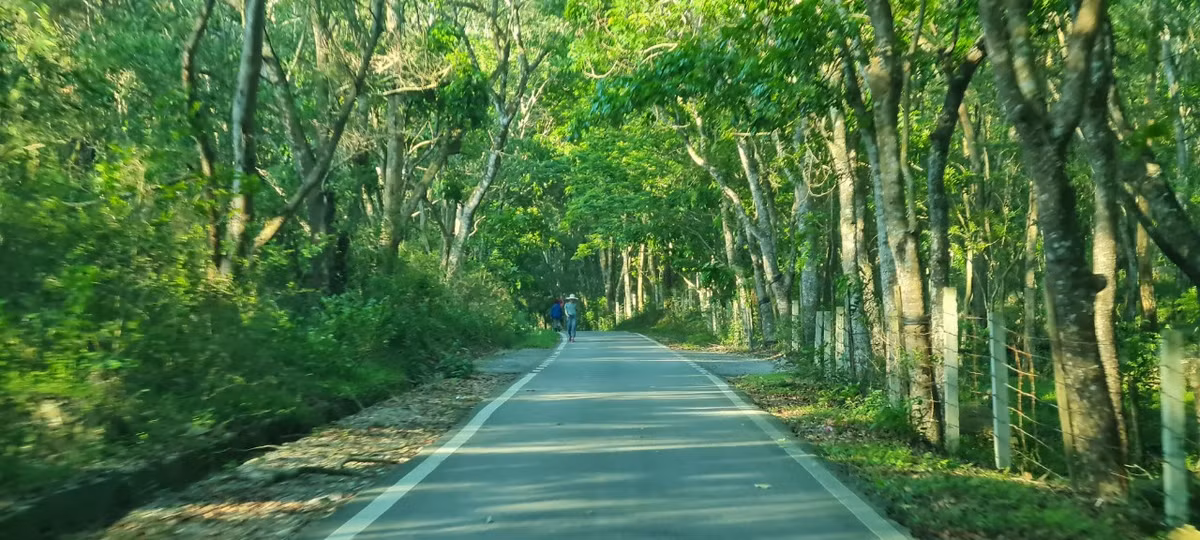 Về với Sầm Sơn, dạo bước lên núi Trường Lệ, giữa xanh trong, mát lành của cây rừng, ta lại mải mê trong tiếng thì thầm của huyền thoại di tích ngàn xưa vọng lại.