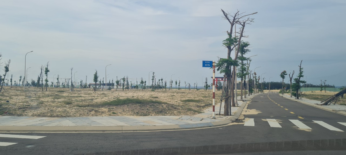 Với 3 phân khu: phân khu 2, phân khu 4 và phân khu 9, hiện trạng dự án chỉ là các ô đất trống liền kề nhau, chưa có hạ tầng xã hội và không người sinh sống.