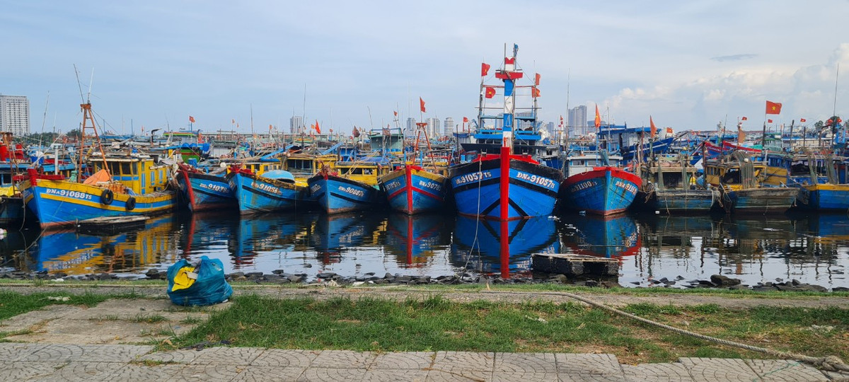  Âu thuyền Thọ Quang nằm ở quận Sơn Trà, thành phố Đà Nẵng là nơi tránh trú bão, neo đậu sau chuyến ra khơi đánh bắt hải sản của hàng trăm tàu cá tại địa phương và vùng lân cận.