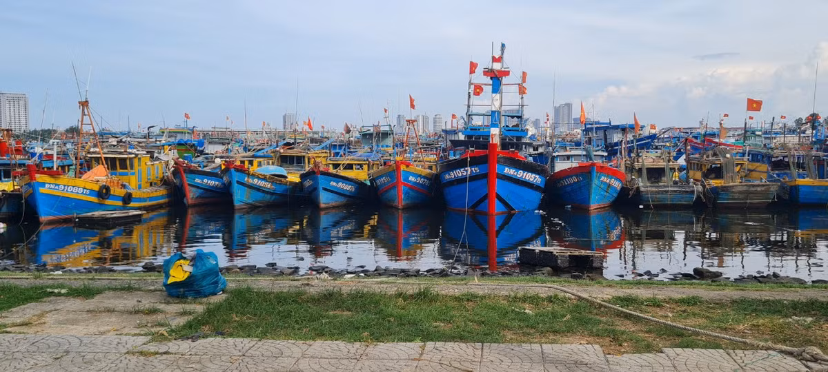 Da Nang: Muot mo hoi don rac quanh Au thuyen Tho Quang