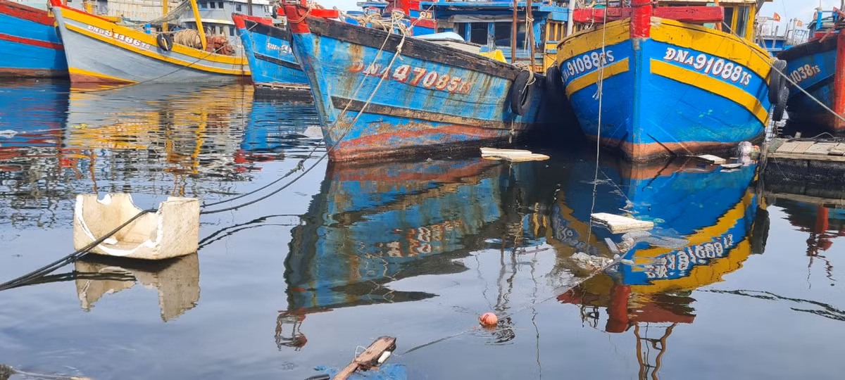 ...đến thùng xốp vỡ.