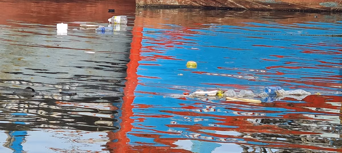 Từ các loại chai lọ...