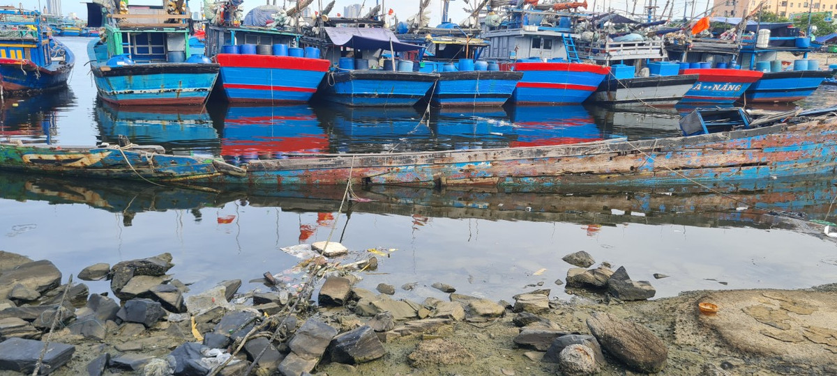 Cả những chiếc thuyền hư hỏng cũng được tập kết về đây.