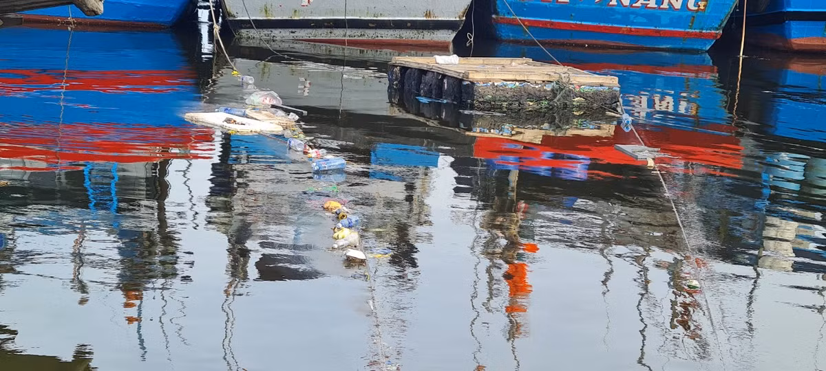 Lượng rác thải từ hoạt động của tàu cá, chợ hải sản, các xưởng đóng tàu và khu dân cư đã biến âu thuyền thành “túi” đựng rác không lồ, ô nhiễm kéo dài.