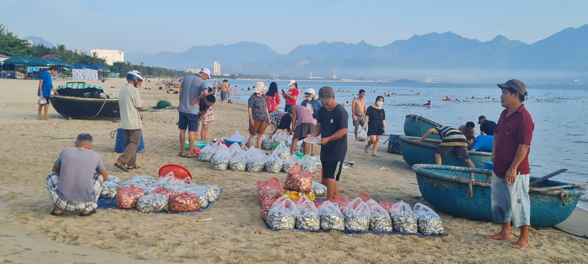 Được mùa, không chỉ ngư dân mà những lao động gánh cá, chở cá... cũng vui vì có việc làm, tăng thu nhập.