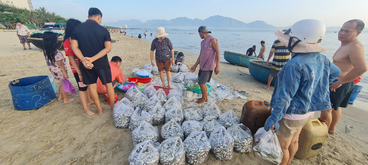 Nhiều người đi tắm biển, tập thể dục buổi sáng tranh thủ ghé chợ cá.